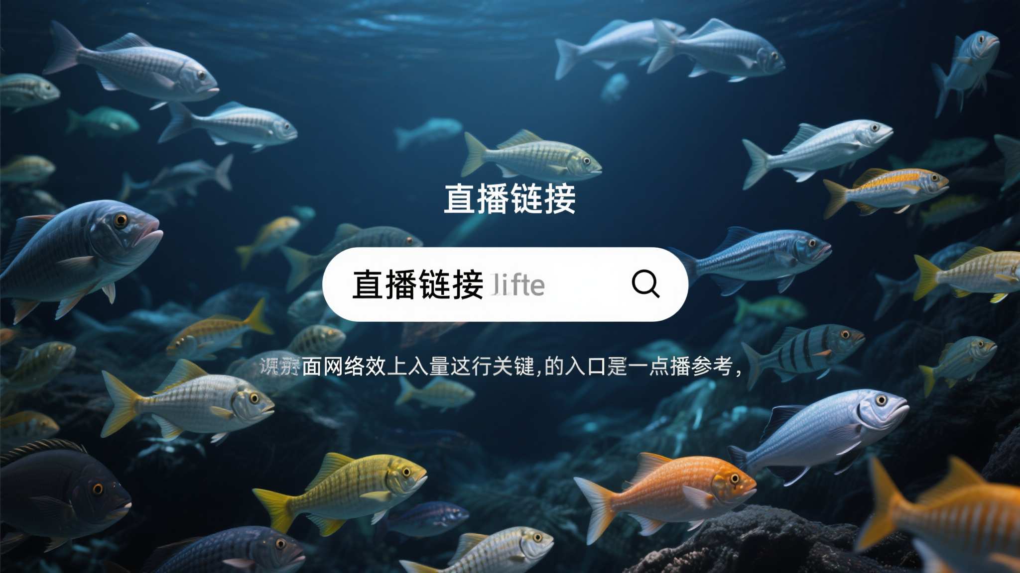 足球世界杯平台网页版入口
